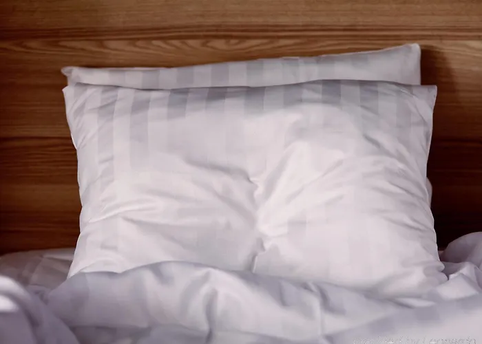 سكانديك نيبتون فندق